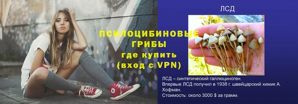 мдпв Няндома