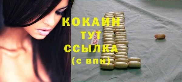 мдпв Няндома
