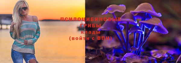 мдпв Няндома