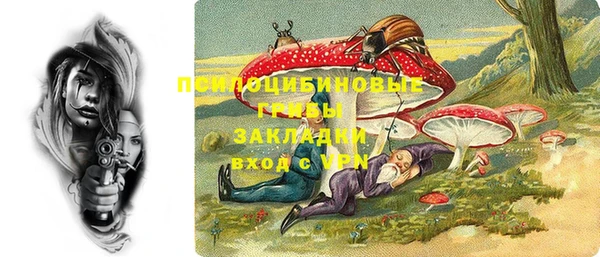 мдпв Няндома