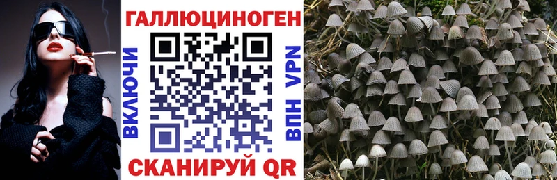 Псилоцибиновые грибы мицелий Старая Купавна