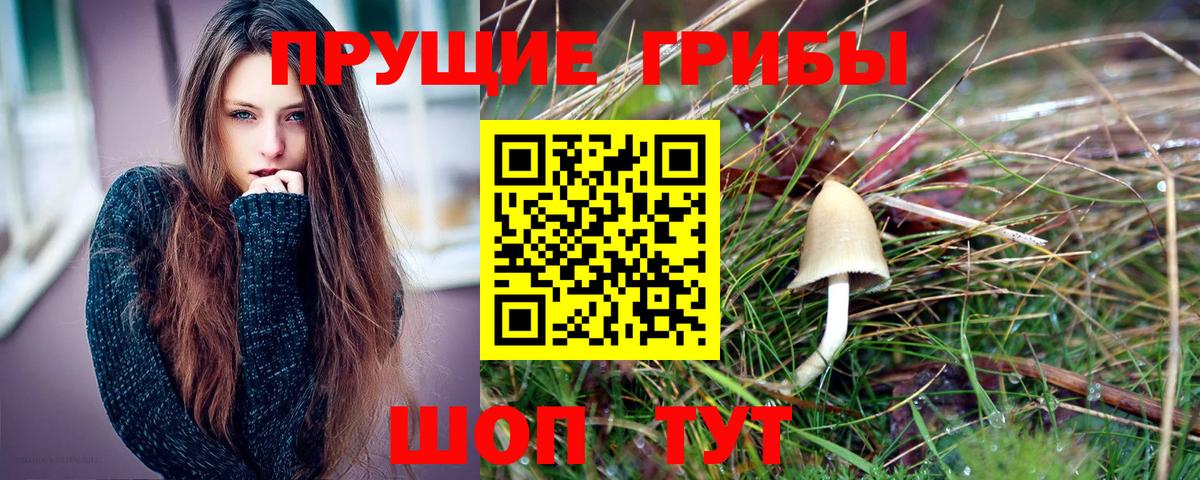 Старая Купавна  Галлюциногенные грибы Cubensis  Галлюциногенные грибы Cubensis  Вход с VPN 