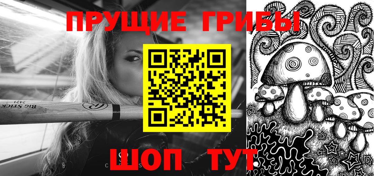 Псилоцибиновые грибы Cubensis Старая Купавна